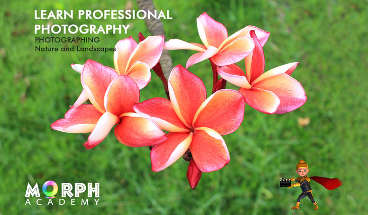 Institute of photography in Chandigarh